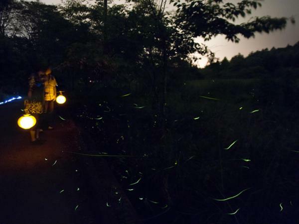 Hauska Karuizawa Hotel ซากุ ภายนอก รูปภาพ