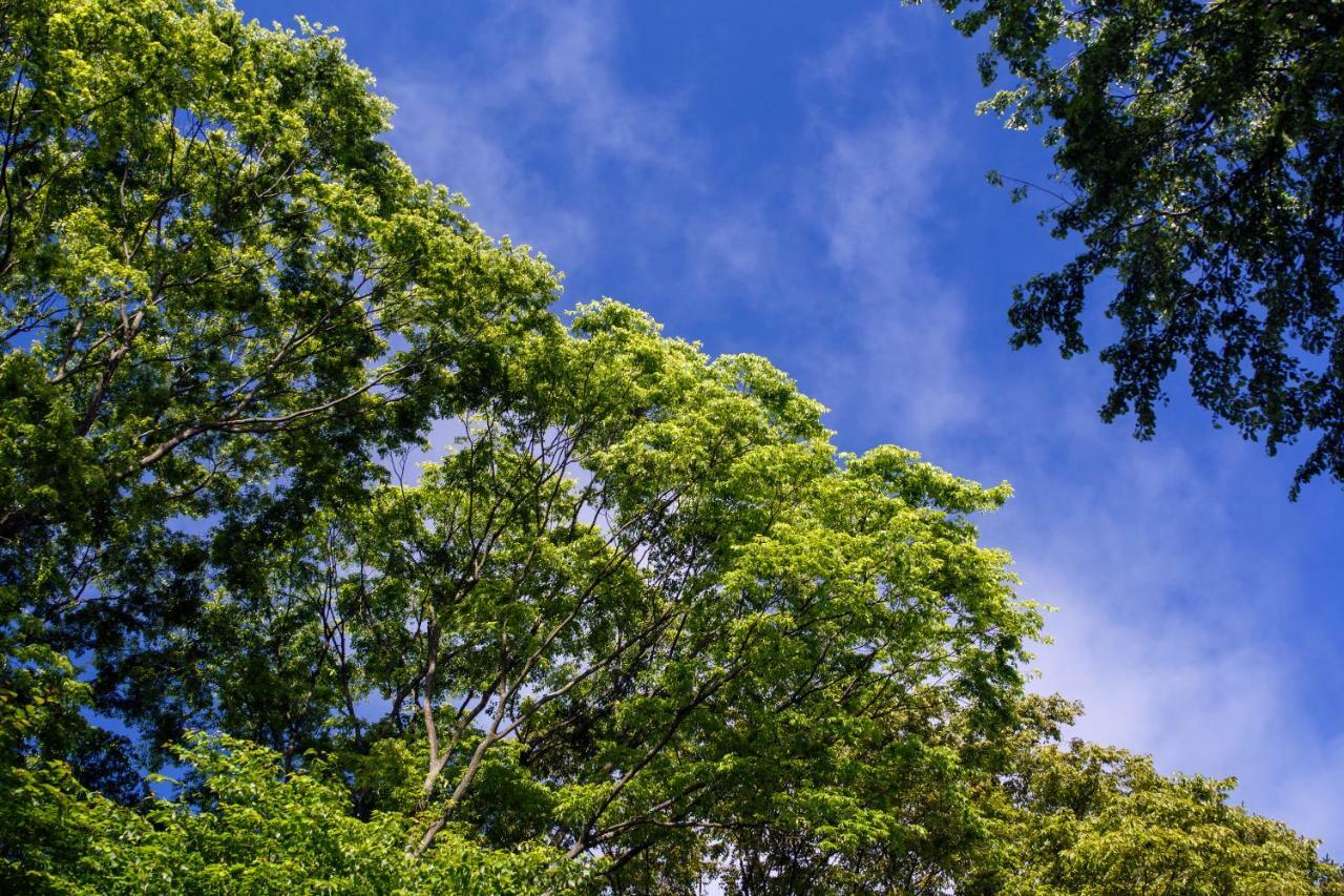 Hauska Karuizawa Hotel ซากุ ภายนอก รูปภาพ